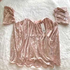 NWT Velvet Pink Top from Francesca’s Size Medium